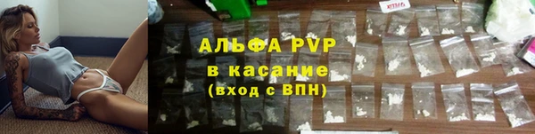 эйфоретик Вяземский