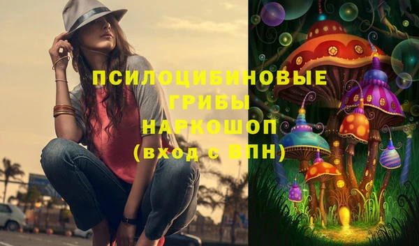 эйфоретик Вяземский
