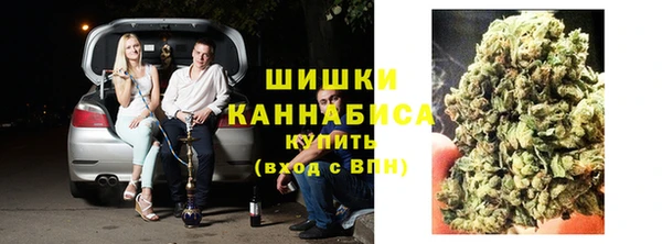 молекула духа Волосово
